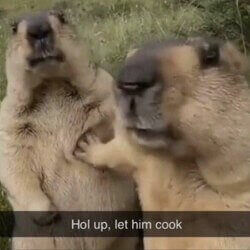 Let Him Cook Logo