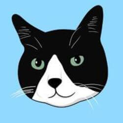 Onigiri Logo