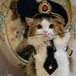 Logo de Neuracat