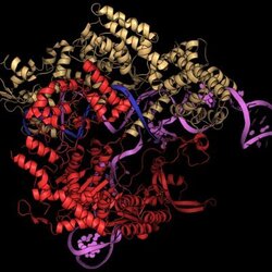 Логотип Cas9