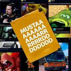 MUSTAAAAAARD ロゴ