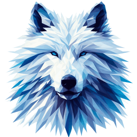 OKAMI Project