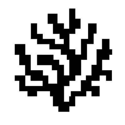 Coral Protocol