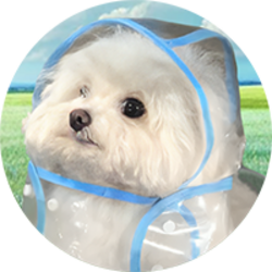COAT DOG
