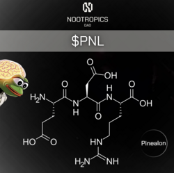 PNL
