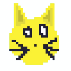 Solana Cat