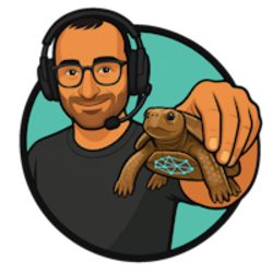 Bitcoin the Turtle