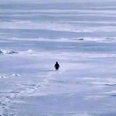 Nietzschean Penguin