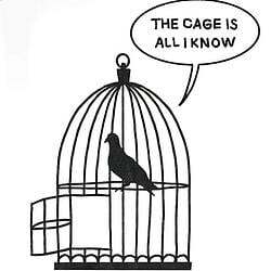 The cage is all I know Logosu