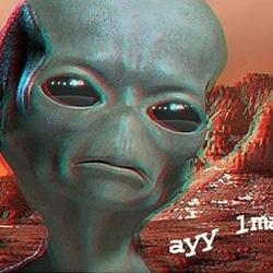 Logo de Ayy LMAO