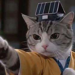CatFu