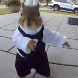 The Dancing Squirrel Logosu