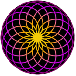 TORUS Price Prediction