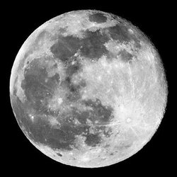 Dự đoán giá Moon
