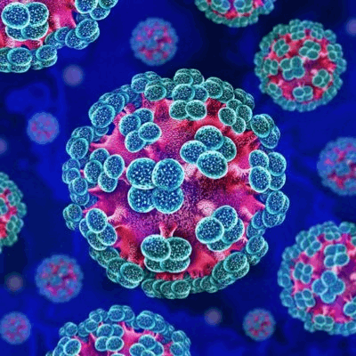 Логотип Hantavirus