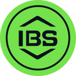 Logo de IBS