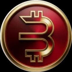 Bad Credit Coin Лого