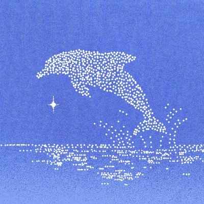 Dolphin