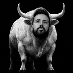 لوگو The White Bull