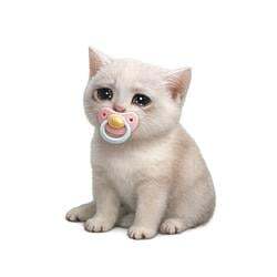 Логотип Baby Cash Cat