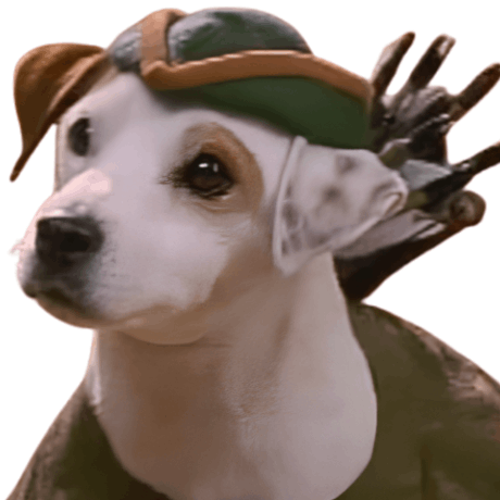 Логотип WISHBONE