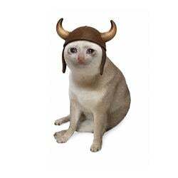 The Bull Cat