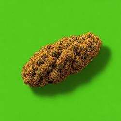 Logo Nuggies