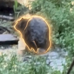 Chonketha the Wet Beaver