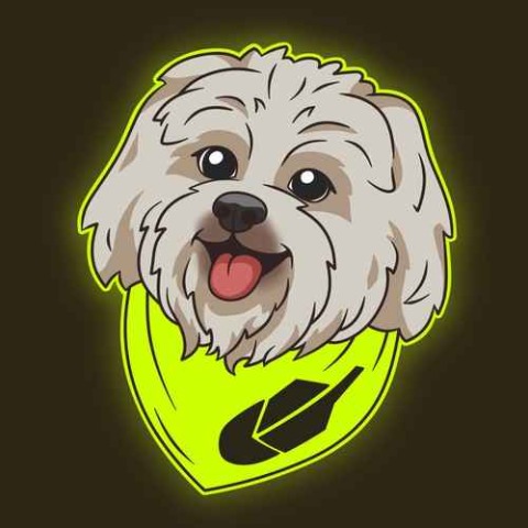 Robinhood Dog