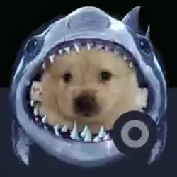 sharkdog