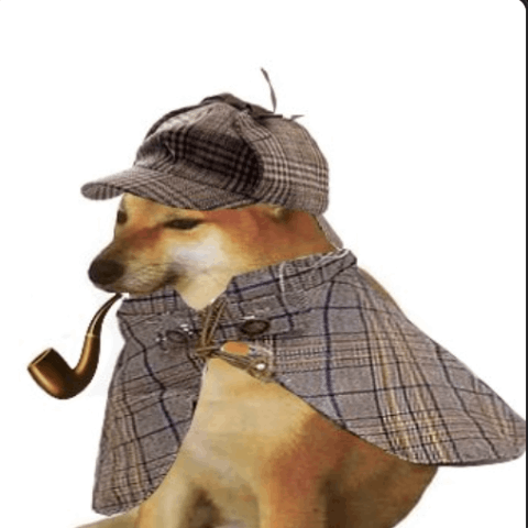 pipedog