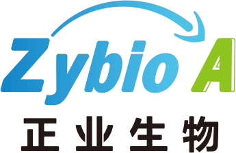 Zhengye Biotechnology Holding Limited