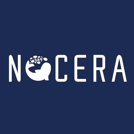Nocera, Inc.