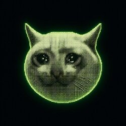 Cashcat Chain