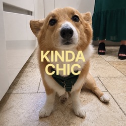 Kinda Chic ロゴ