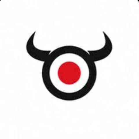 BULLS'S EYE