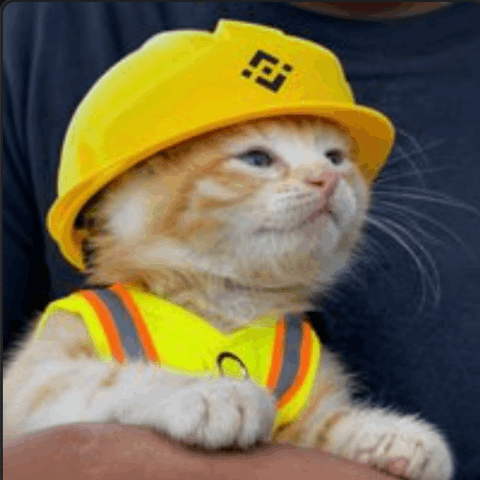 施工猫 Logoja