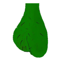 Nuts价格预测