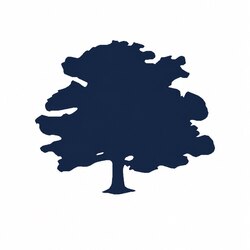 Forest Road USDfr