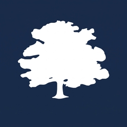 Staked Forest Road USDfr