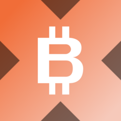 Wrapped Bitmine xStock
