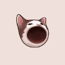POPCATUSDT