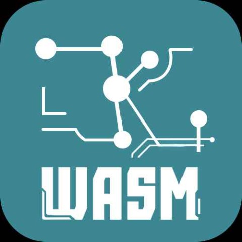 ZKWASM/USDT