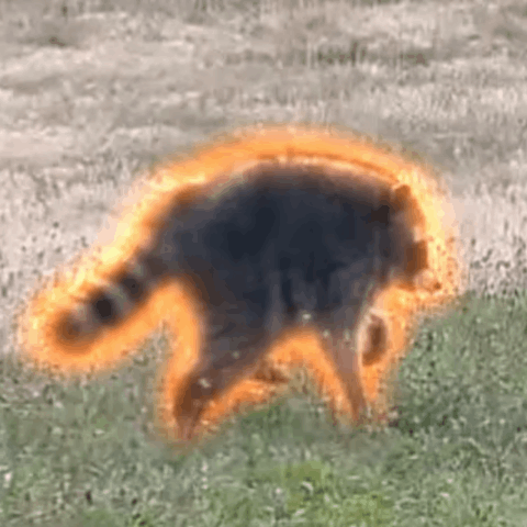 JIMOTHYUSDT