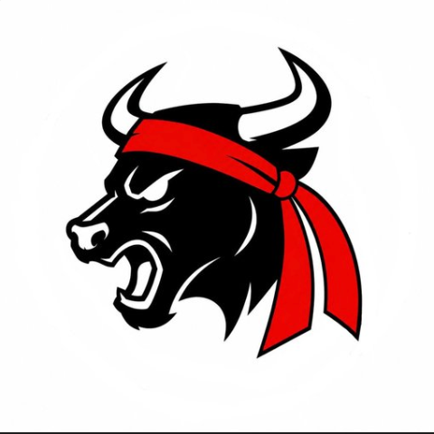 GMEBULL/USDT