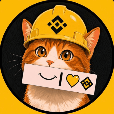 BNBCAT/USDT